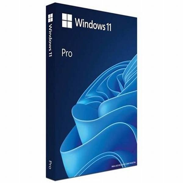 WIN 11 PRO GET Genuine KIT 64B 1PK SPA (S/ Dvd)