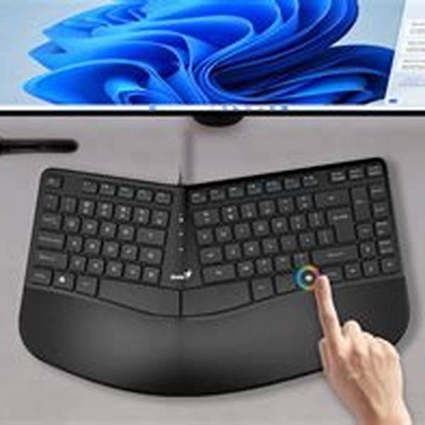 Teclado Ergonómico Genius Ergo KB-700 USB