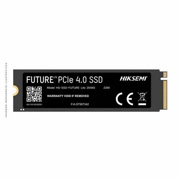 SSD M.2 NVMe 2TB Hiksemi Future Lite PCIe 4.0