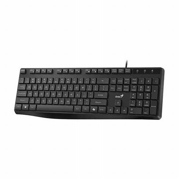 Teclado Genius KB-117S USB Negro