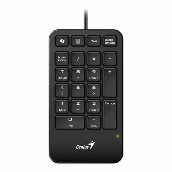 Teclado Numérico Genius NumPad 125 USB