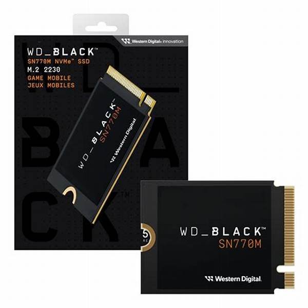 SSD M.2 NVMe 500GB WD Black SN770M 2230 PCIe 4.0