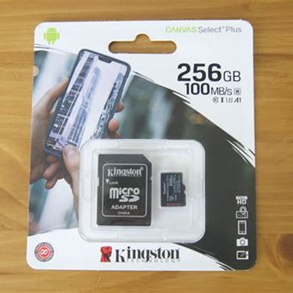 Tarjeta MicroSD Kingston Canvas Select Plus 256GB