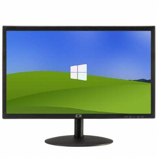 Monitor CX 20" IPS 100Hz