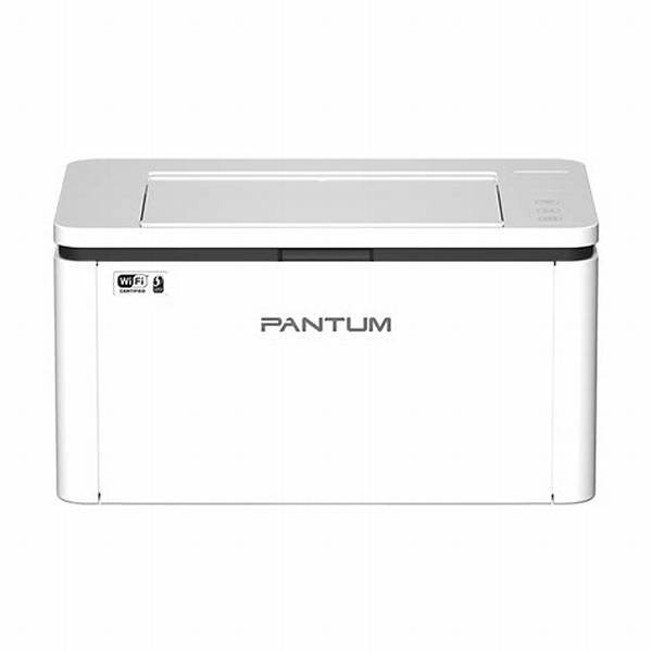 Impresora Láser Monocromática Pantum BP2300W Wi-Fi