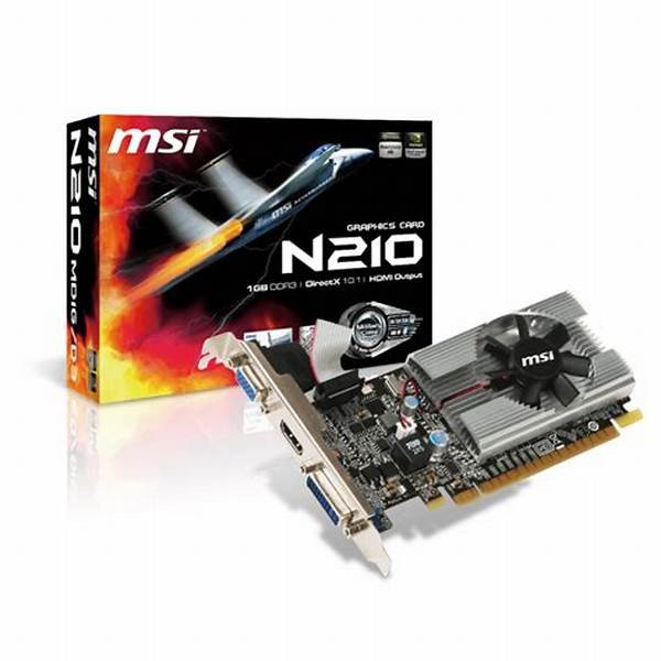 Placa de Video GeForce GT 210 1GB DDR3