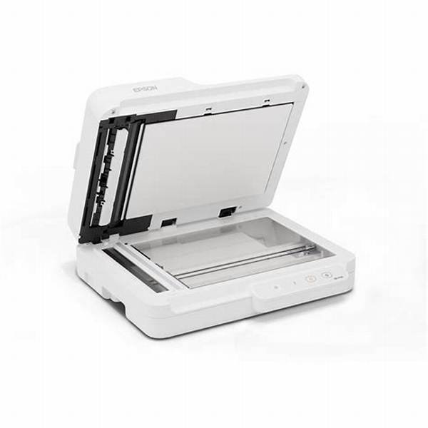 Escáner Epson WorkForce DS-1730 30ppm Dúplex