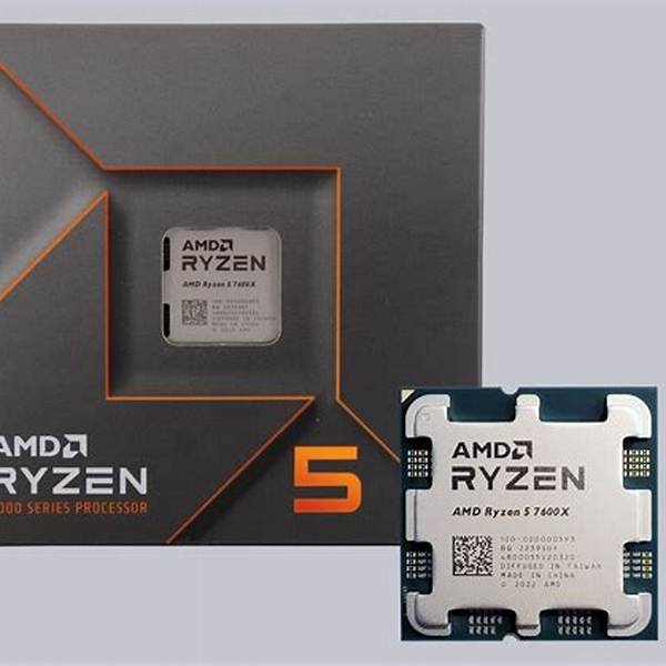 Procesador AMD Ryzen 5 7600X (Importado)