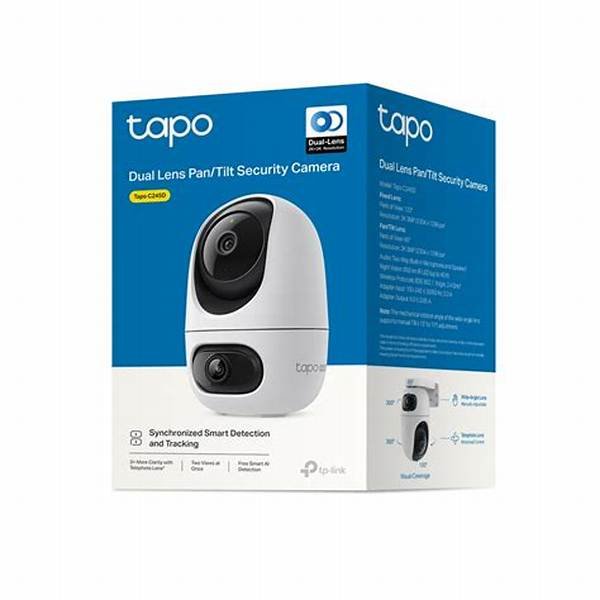 Cámara IP TP-Link Tapo C245D Full HD Doble Lente