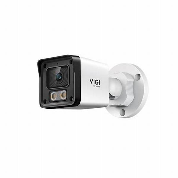 Cámara IP Bullet TP-Link VIGI EasyCam C320 2MP Full Color