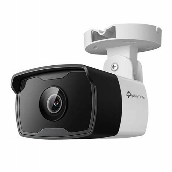 Cámara IP Bullet TP-Link VIGI C320I 2MP