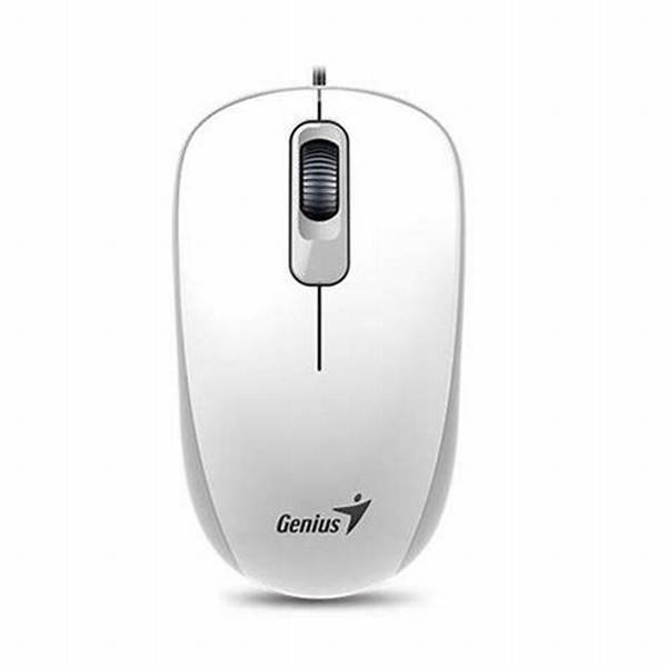 Mouse Genius DX-110 USB Blanco