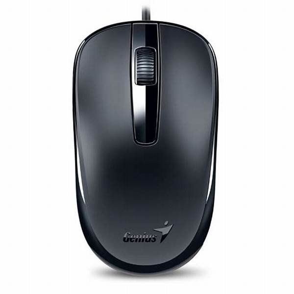 Mouse Genius DX-120 USB Negro