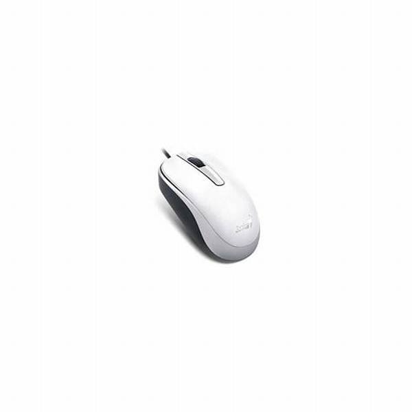 Mouse Genius DX-120 USB Blanco