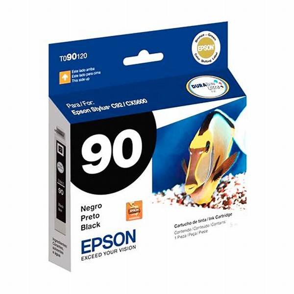 Cartucho Epson T090120 Negro