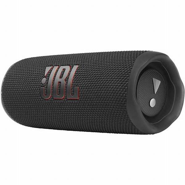 Parlante Bluetooth JBL Flip 6 Negro