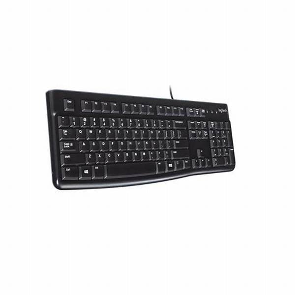 Teclado Logitech K120 USB Latino