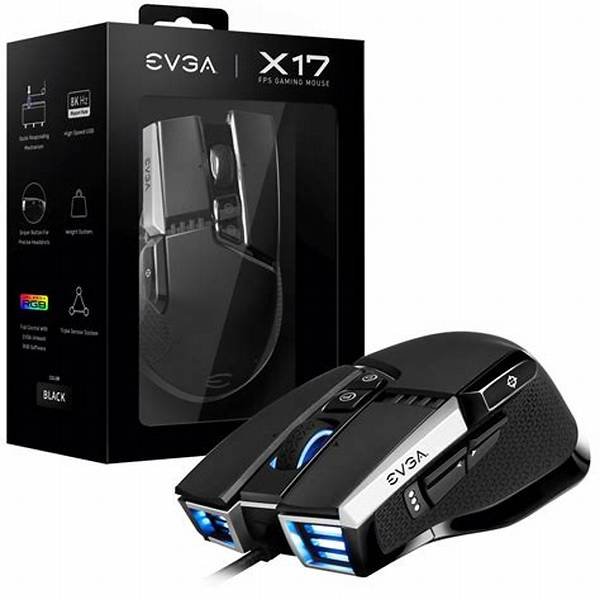 Mouse Gamer EVGA X17 Negro