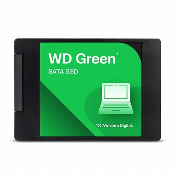 SSD 1TB WD Green SATA 2.5